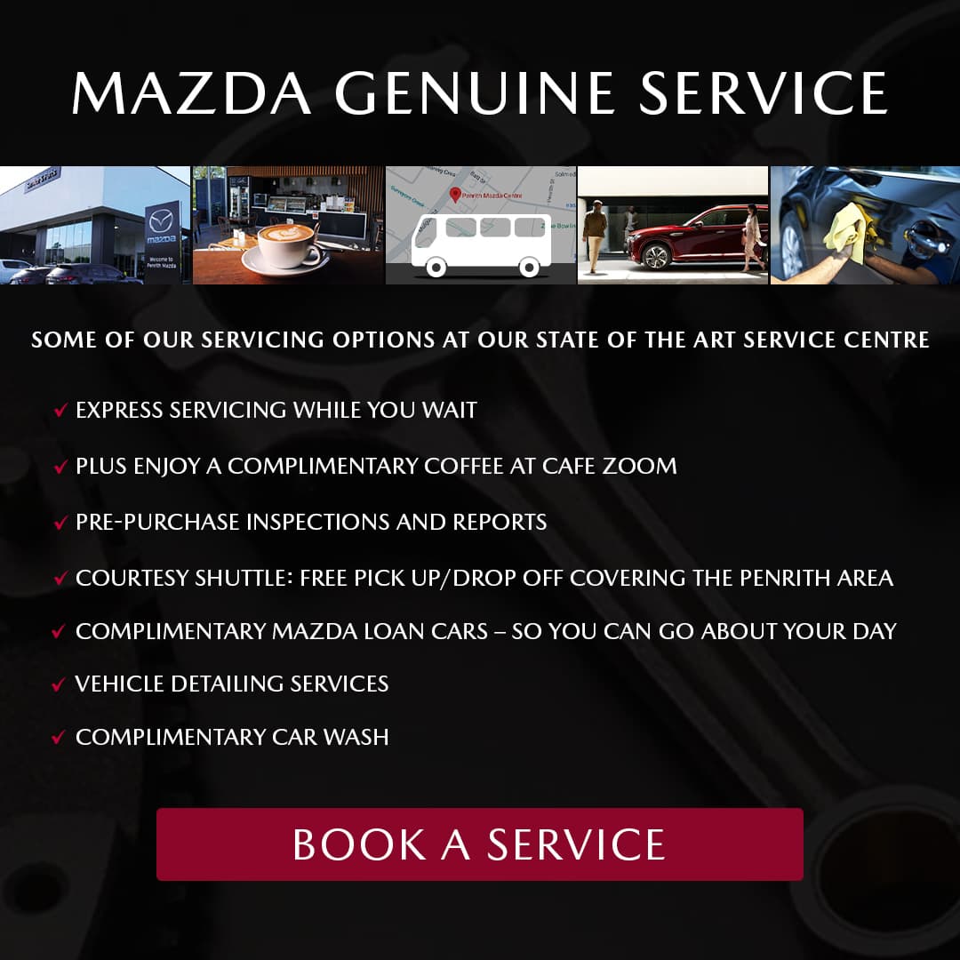 PenMaz GenuineService Hp